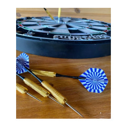 Комплект дартс SLP Pro-Play